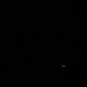 Meet your Posher, Roy